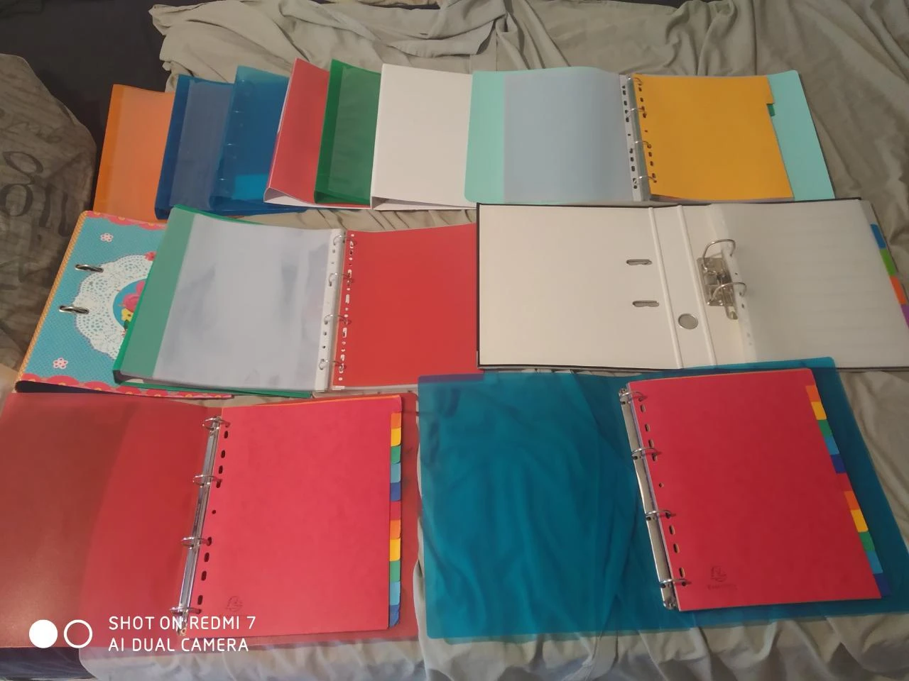 Lot de 13 classeurs + intercalaires + pochettes